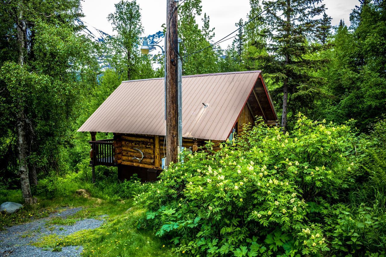 Midnight Sun Log Cabins Moose Pass Exterior photo